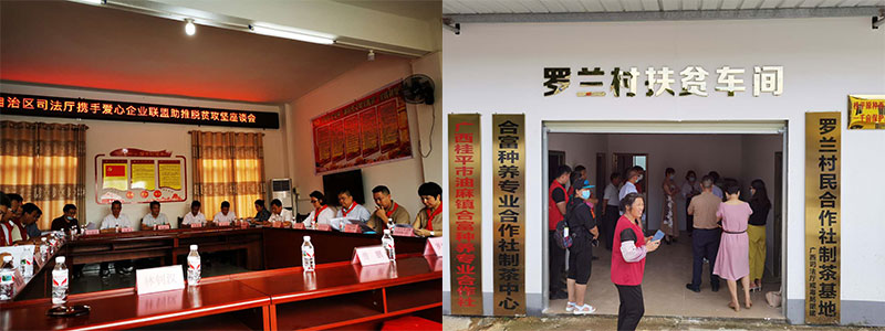 凡路展覽
